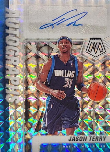 Jason terry mosaico panini - mosaico,