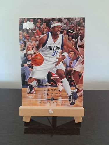 Jason terry mavericks - terry,