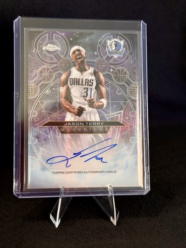 Jason terry jet - terry, #ch-jet